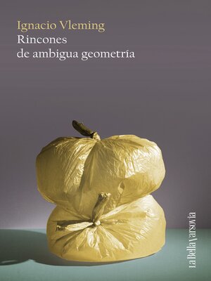 cover image of Rincones de ambigua geometría